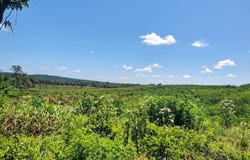 400 Cotton Lane, San Augustine, TX 75972