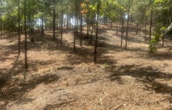 13 Stonechase Lane, Cohutta, GA 30710