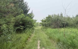 20 Acres E M-30 Highway, Alger, MI 48610