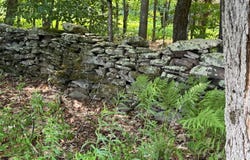 Wilbur Hill Rd, Butternuts, NY 13776