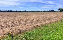 0004 Thorn Road, Jasper, MO 64755