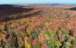 80 acres Co Rd 510, Ishpeming, MI 49849
