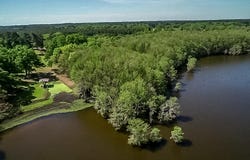 451 WIGGINS RD, Karnack, TX 75661