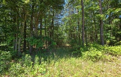 186 BIG OAK Drive, POINTS, WV 25437