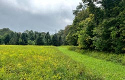 1.4 Brigham Rd, Richford, NY 13835