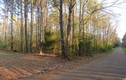 Woodland St, Kosciusko, MS 39090
