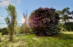 447530 E 1011, Gore, OK 74435