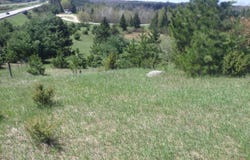 S 39 Road, Cadillac, MI 49601