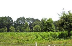 138 Little River 183, Ashdown, AR 71822