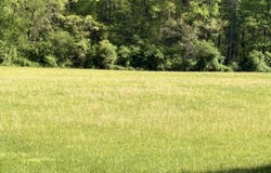 1550 Griffith Highway, Jasper, TN 37347