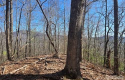 Brasstown Road, Cullowhee, NC 28723