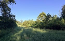1 Butler Road, Vaughan, MS 39179