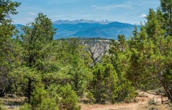 790 Mesa Drive, Eagle, CO 81631