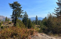 TRACT 2 COWBOYS AND ANGELS AVE, KETTLE FALLS, WA 99141