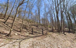 Seanor Rd, Hooversville, PA 15963