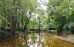 1 SAWYERS COVE ROAD lot: 0, CALERA, AL 35040