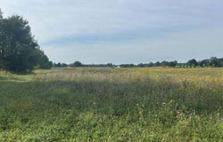 0 V/L Warner Road, Concord, MI 49237