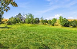 651 Klemgard Road, Pullman, WA 99163
