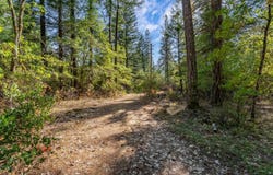 305 Floyd Lane, Cave Junction, OR 97523