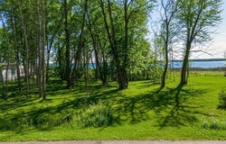 Grouse Loop NW, Walker, MN 56484