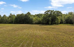 67 Acres S Live Oak Rd, Gilmer, TX 75644