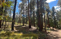 57 E FOREST Dr, Rociada, NM 87742