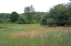 122 Fox Run Road, Elizabethtown, NY 12932