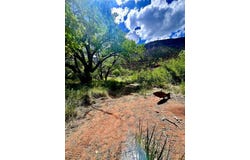 16443 Hwy 4, Jemez Springs, NM 87025