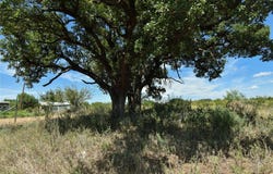 420 Maddox, Eden, TX 76837