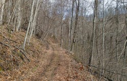 LT 34 Catnip Rd, Cullowhee, NC 28723