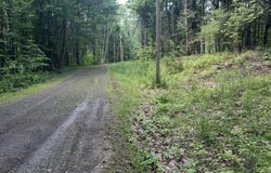 Deer Path lot: #12, Jefferson, NY 12093