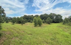 BARCLAY ROAD lot: 0, ALPINE, AL 35014
