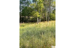 Nixon Road, Columbia, KY 42728