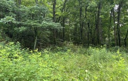 Bellfounte Road NE, Cleveland, TN 37312