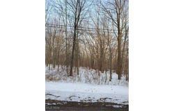 Walter Main Road, Geneva, OH 44041