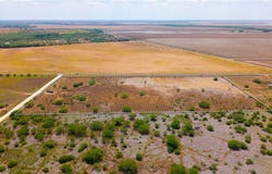 4981 Aymond Drive lot: 14, Robstown, TX 78380