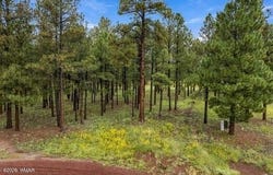 38650 State Route 373, Greer, AZ 85927