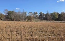 663 GRAHAM DRIVE lot: 3, OHATCHEE, AL 36271