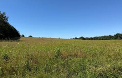 Coonhunters Rd, Golconda, IL 62938