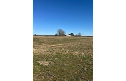 7114 COUNTY ROAD 39, Addison, AL 35540