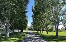 22 E Rich Lane, Blackfoot, ID 83221