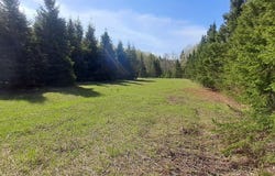 County H26 Road, Rock, MI 49880