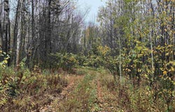 State 77 Highway, Iron Belt V-WI, WI 54534