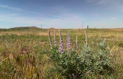 State Route 231, 0 Brown Lake road, Sprague, WA 99032