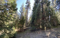 3-C-23 Fumarole Dr, McCloud, CA 96057