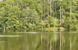 Flurry Drive, Perkinston, MS 39573
