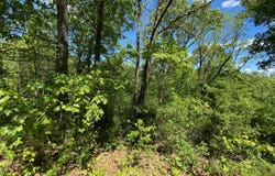 Mule Barn Drive, Cape Fair, MO 65624