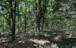 Wildcat Ln, Equility, IL 62934