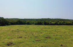 Danville Road, BIG SANDY, TN 38221