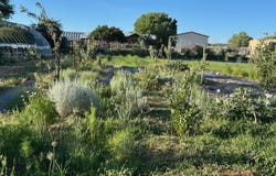 107 CR 51, Velarde, NM 87582